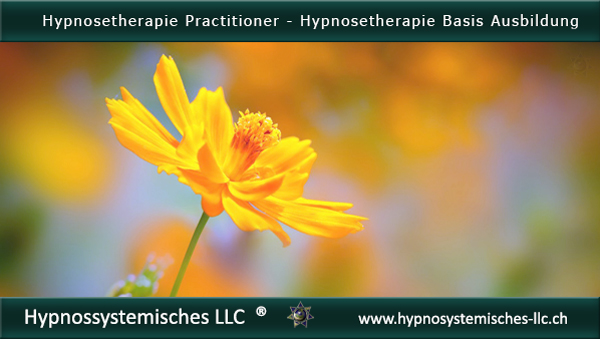 Hypnosetherapie-Basis-Ausbildung
